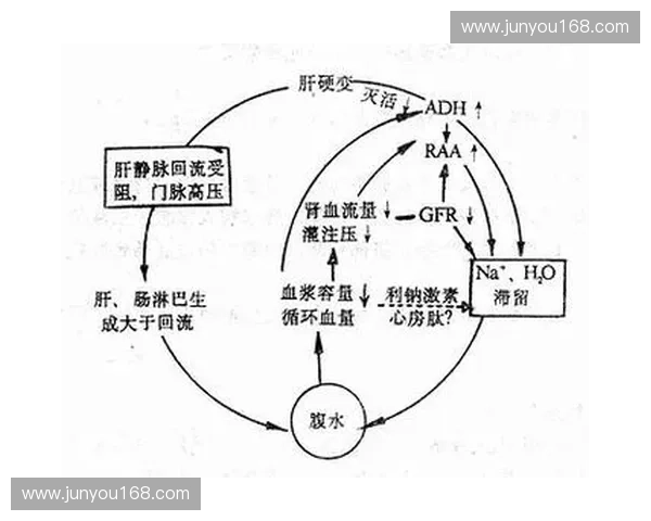 运动生理学家视角下的运动训练与人体适应机制探究与应用 运动生理学家视角下的运动训练与人体适应机制探究与应用